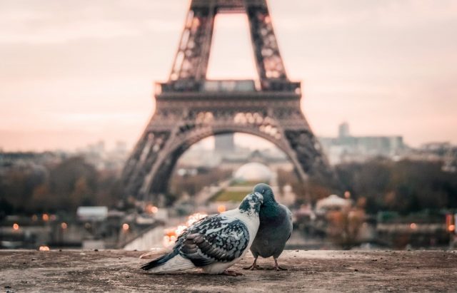 Voyager sur Paris en toute tranquillité
