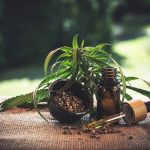 Pourquoi se soigner avec des produits CBD ?