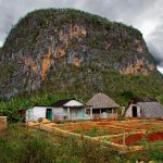 Quelles sont les bonnes raisons d'aller à Cuba