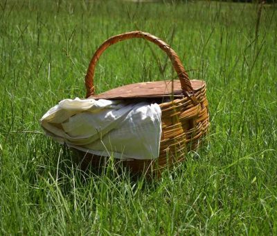 Un panier en osier repose sur l'herbe avec une nappe blanche
